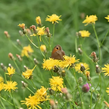 Biohof Seifert Altenberg (Osterzgebirge)
