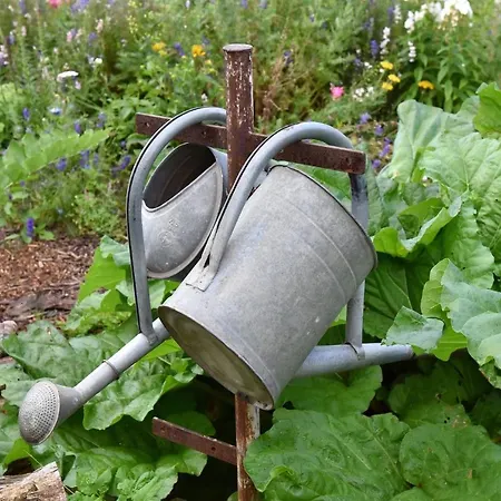 Apartament Biohof Seifert Altenberg (Osterzgebirge)