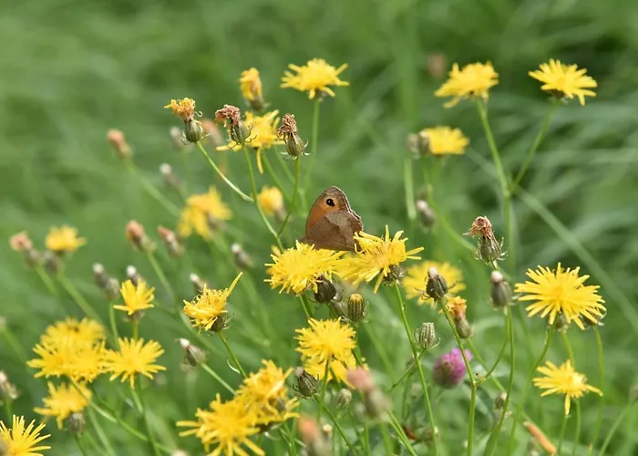 Biohof Seifert Altenberg