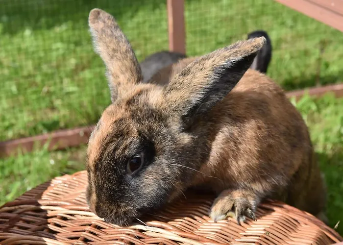 아파트 Biohof Seifert Altenberg