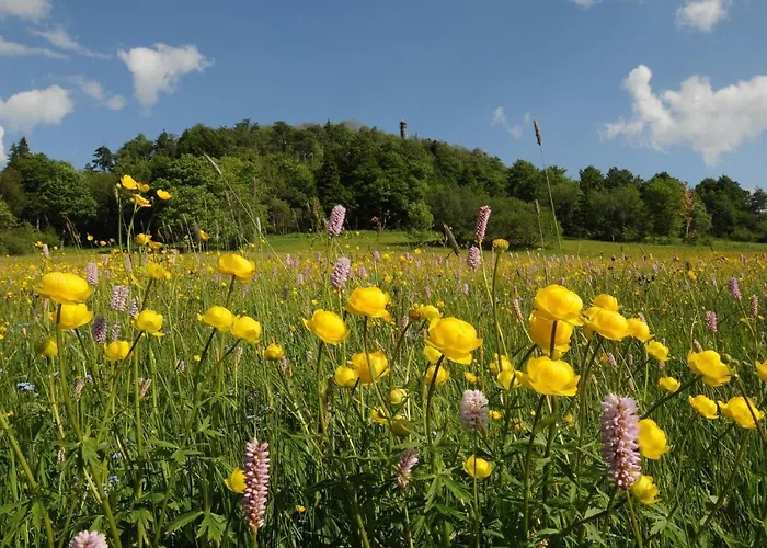 Biohof Seifert 아파트 *