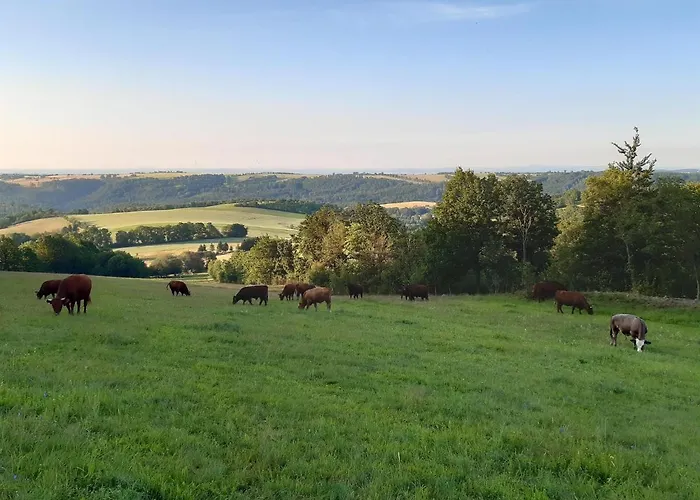 Biohof Seifert Altenberg